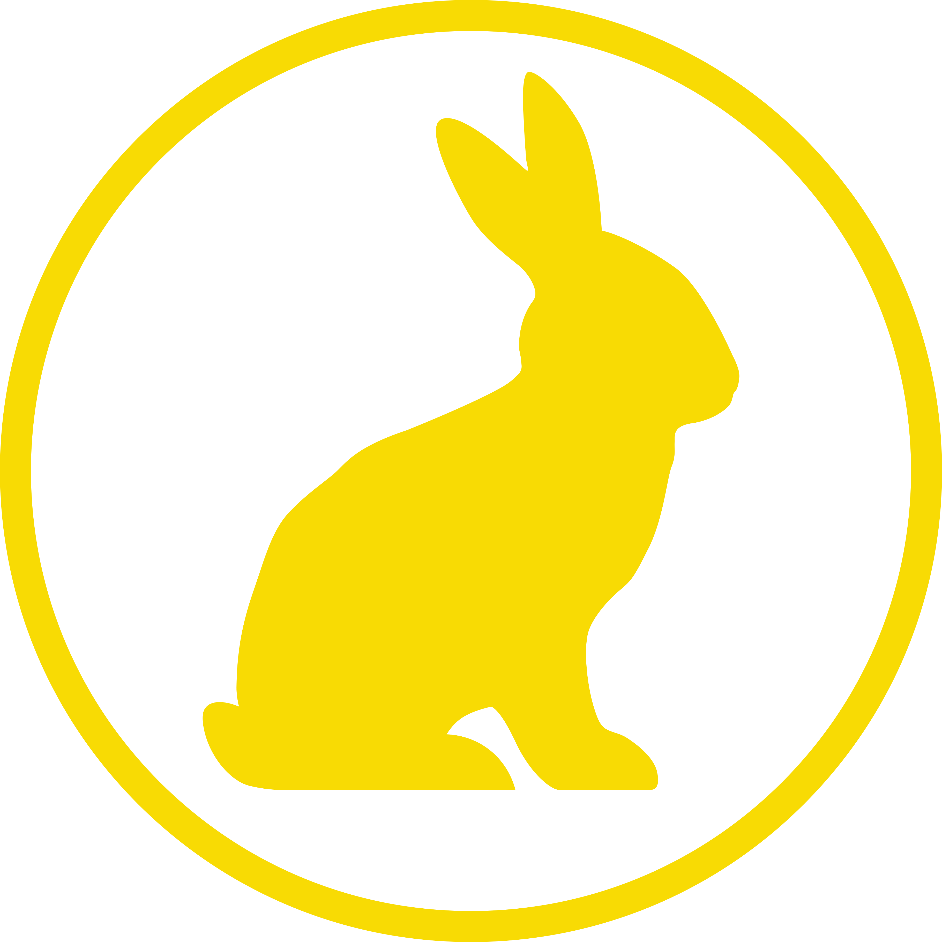 Yellow Rabbit logo